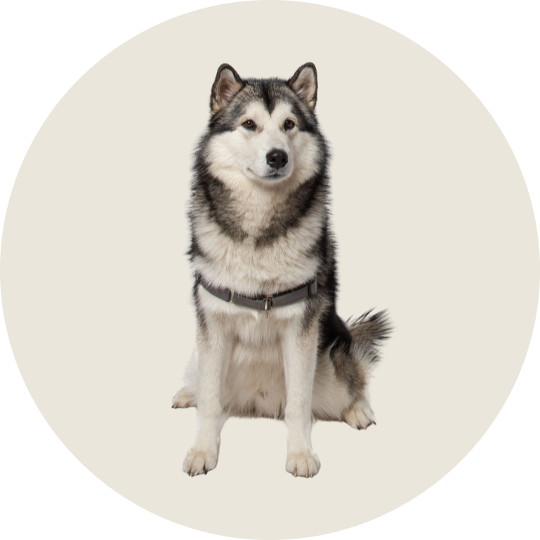 Urho
